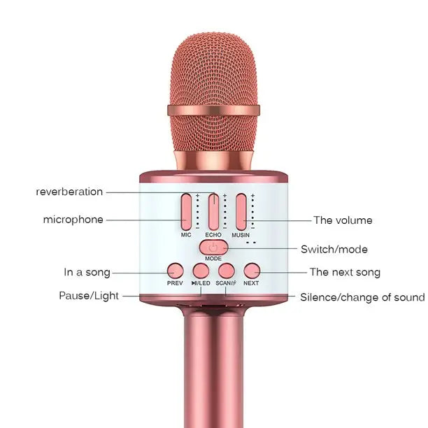 3 in 1 Wireless Karaoke Microphone
